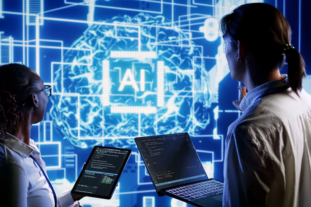 Model Development & Training