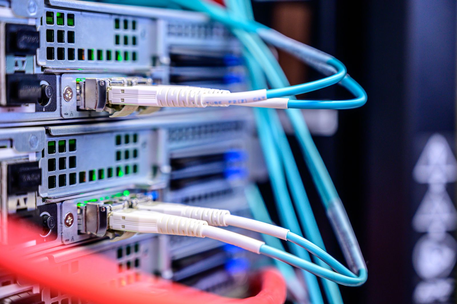 Network cables connected to ports on server equipment